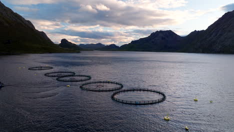 wide drone view over marine pens of salmon farm at sunset in norway fjord