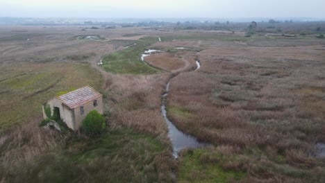 Old-house-on-a-swamp-zone