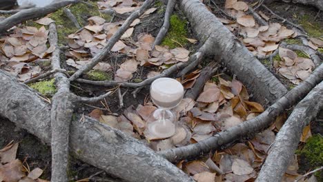 la arena del reloj de arena se está agotando antes de que llegue el desastre ecológico de la naturaleza y mate a todos