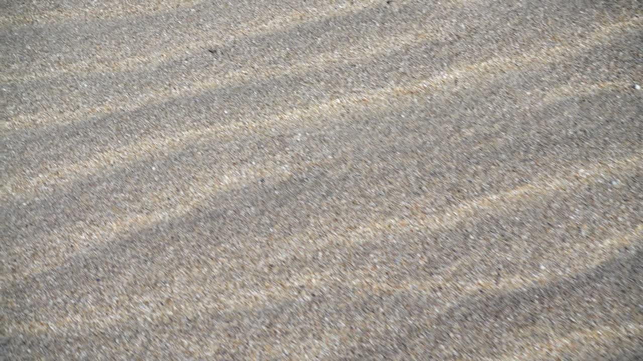 Sandy dunes. Shooting in the movement