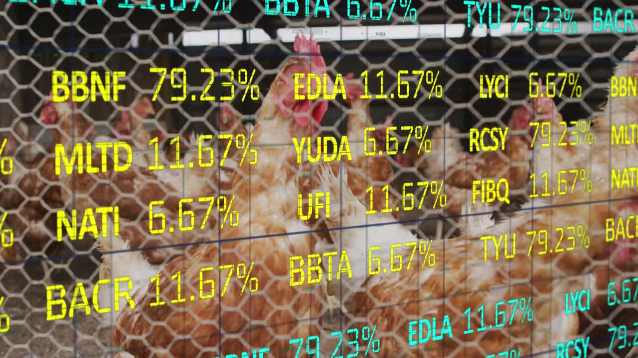 анимация обработки финансовых данных над курицами на ферме