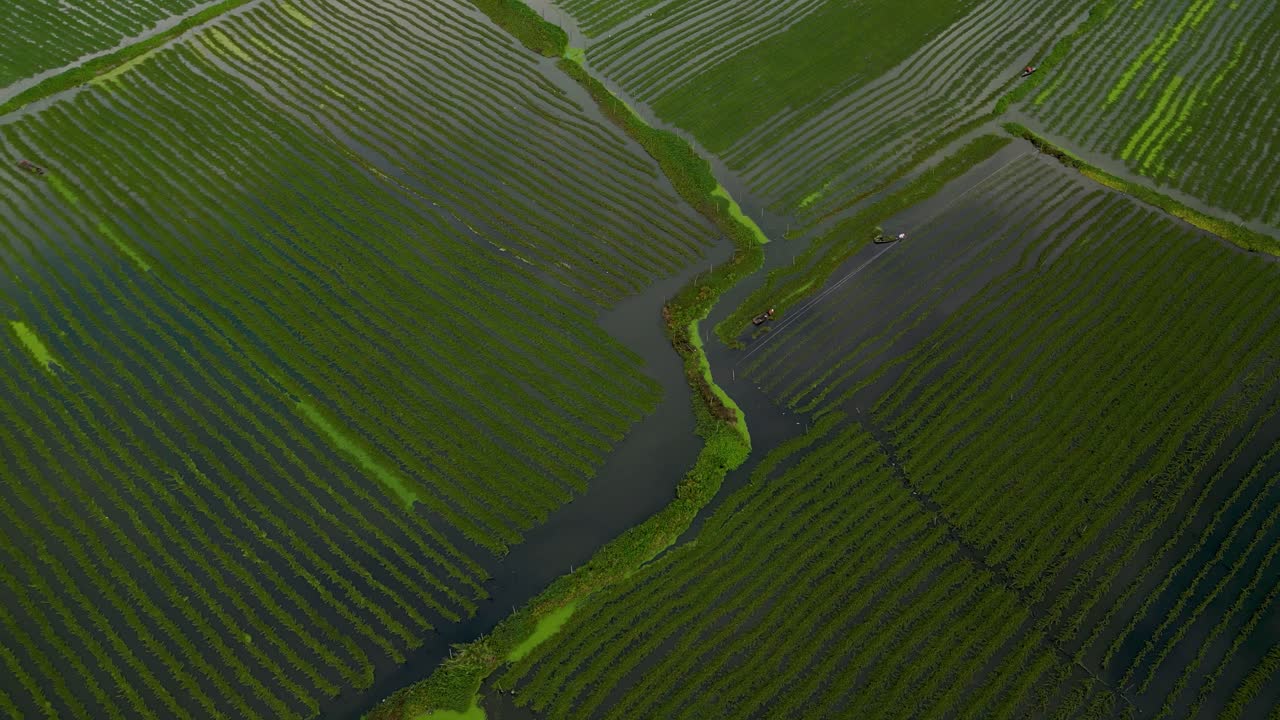 Aerial View of Inle Lake Floating Gardens in Myanmar