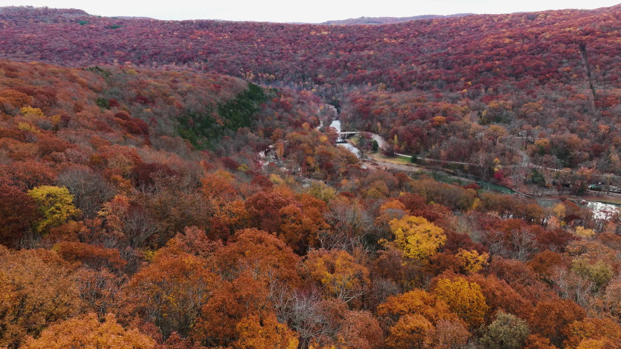 Colorful orange yellow red autumn fall forest woods landscape in Devil's Den park