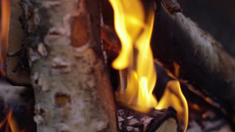 Burning-Logs-Slow-Motion-4K-11