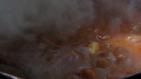 steaming hot meat stew bubbling away in a large copper pot, slow motion