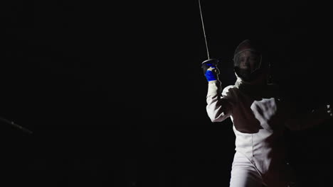 fencing: a sport of skill and precision