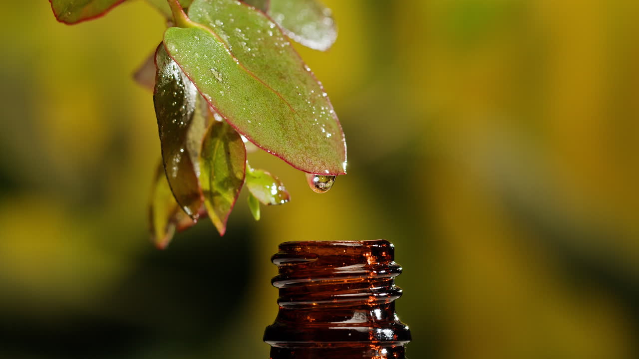 proceso de extracción de aceites esenciales