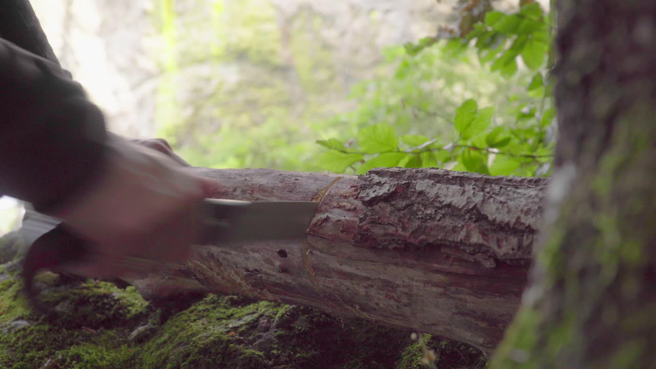 el hombre corta un gran trozo de madera con una sierra para metales en un bosque en verano, 4k