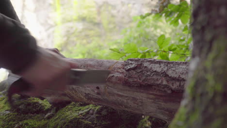 Mann-Schneidet-Im-Sommer-Ein-Großes-Stück-Holz-Mit-Einer-Bügelsäge-In-Einem-Wald,-4k