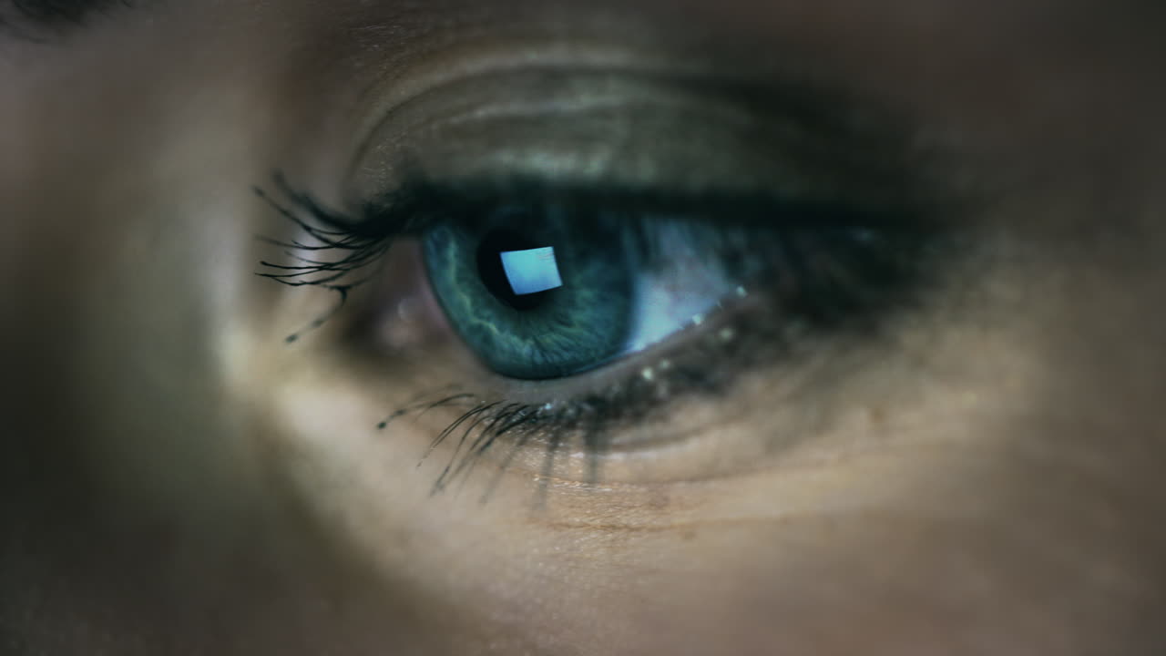 totalmente concentrado en el trabajo hasta tarde en la noche