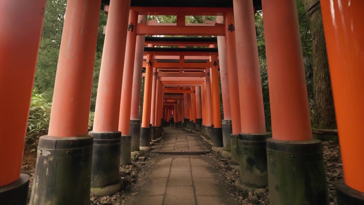 Cesta Senbon Torii u Fushimi Inari Taisha v Kjótu, Japonsko, ukazující řady oranžových bran torii vinoucích se zalesněnou horskou svatyní - Kroužící záběr.