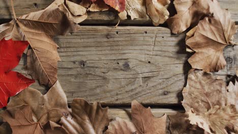 close up view of autumn leaves with copy space on wooden surface