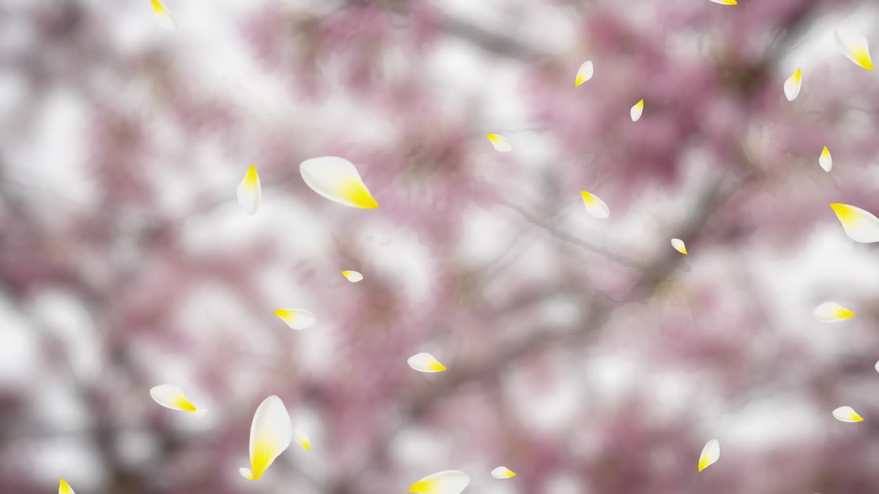 발렌타인 데이 축제