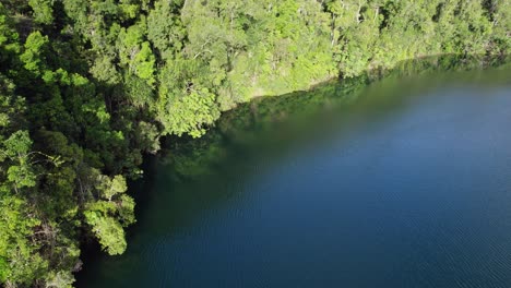 atherton tableland, queensland, australia - drone shot에 있는 호수 eacham의 잔잔한 물 위로 비행