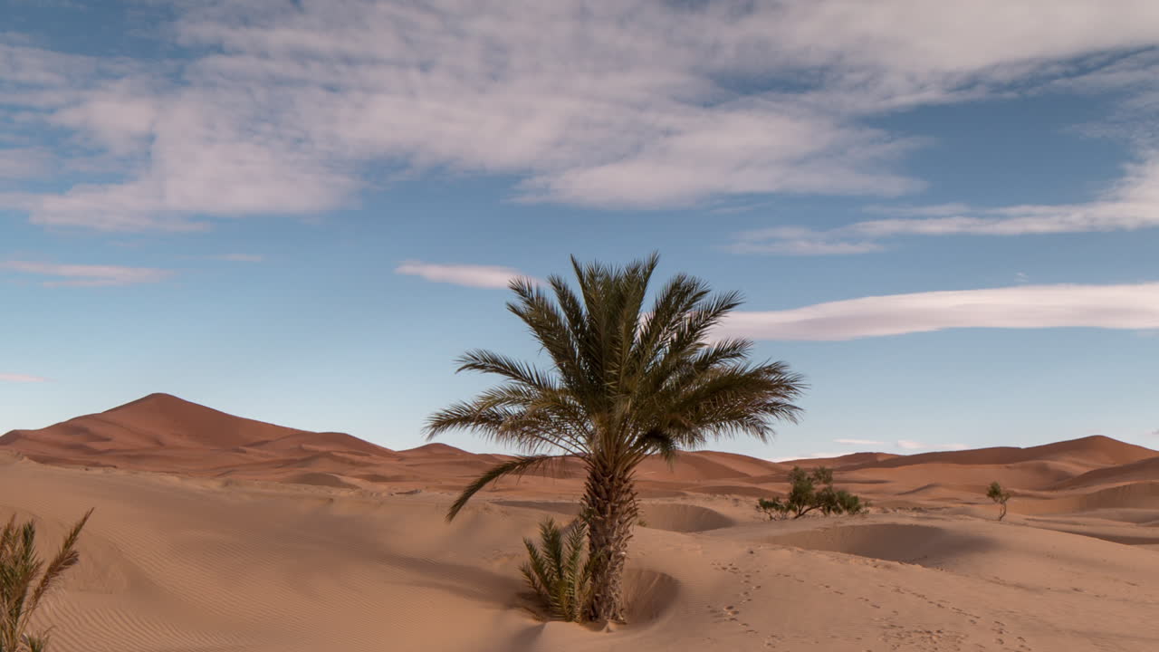 Merzouga Palma 13