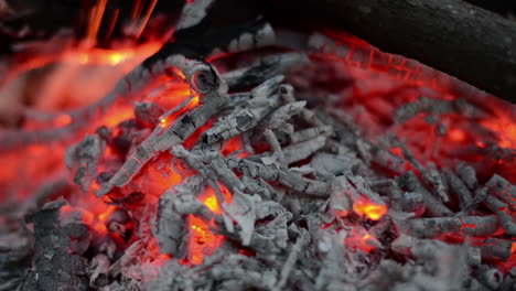 Ardiendo-Hasta-Las-Cenizas-De-Fondo-En-El-Bosque