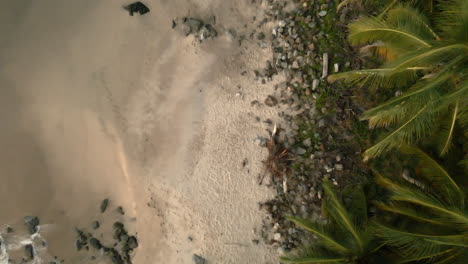 Drone-Descending-Over-Tropical-Beach-With-Breaking-Waves-And-Palm-Trees-In-Playa-De-Barro,-San-Pancho,-Mexico