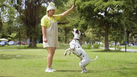 woman playing with dog