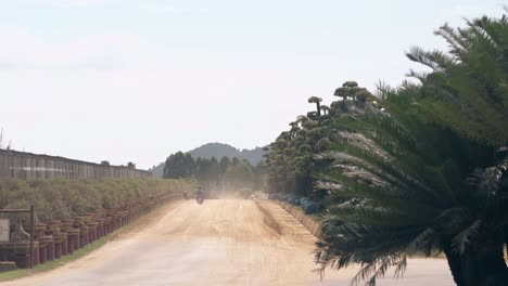 man rides motorbike past green bushes fence and trees