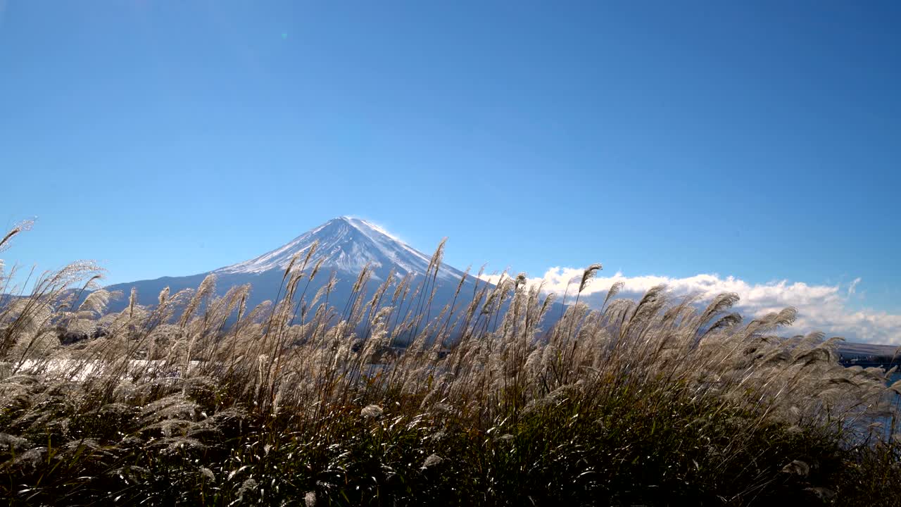 日本 カワグチコ湖から見た富士山