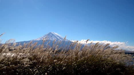 el monte fuji visto desde el lago kawaguchiko , japón