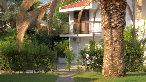 Cottage-with-palm-tree-in-the-garden-summer-scene