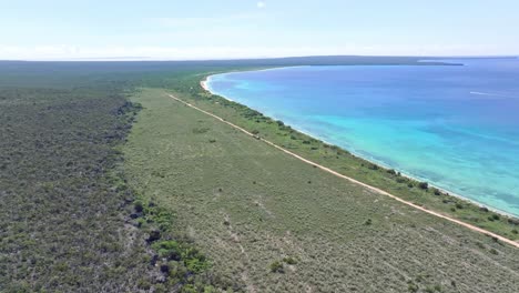 aerial view of playa bahia de las aguilas in summer in pedernales, dominican republic