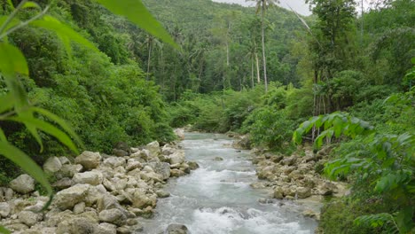 Pan-across-fern-to-reveal-jungle-river-at-base-of-hilly-valley-with-large-grey-boulders