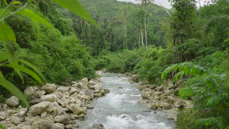 pan across fern to reveal jungle river at base of hilly valley with large grey boulders