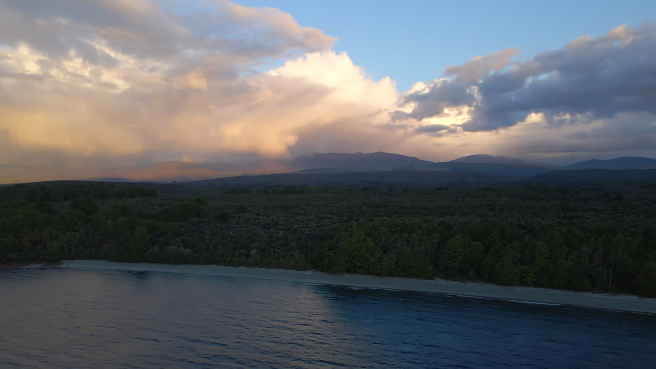 bosque verde denso en la costa de un lago pacífico en nueva zelanda
