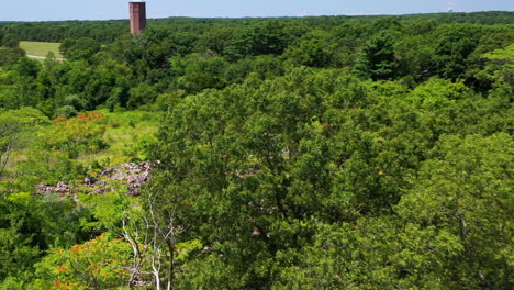 pull-away-drone-shot,-passing-over-trees-closely-with-water-tower-in-the-distance-on-a-sunny-bright-day