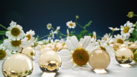 daisies among gold gel beads