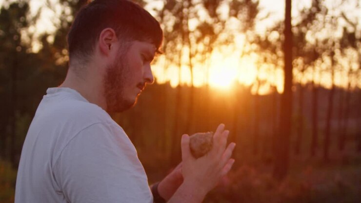 A man observes a rock at sunset in a forest, captured with small, steady movements on a Blackmagic 6K Pro at 50fps, creating a serene, cinematic atmosphere.