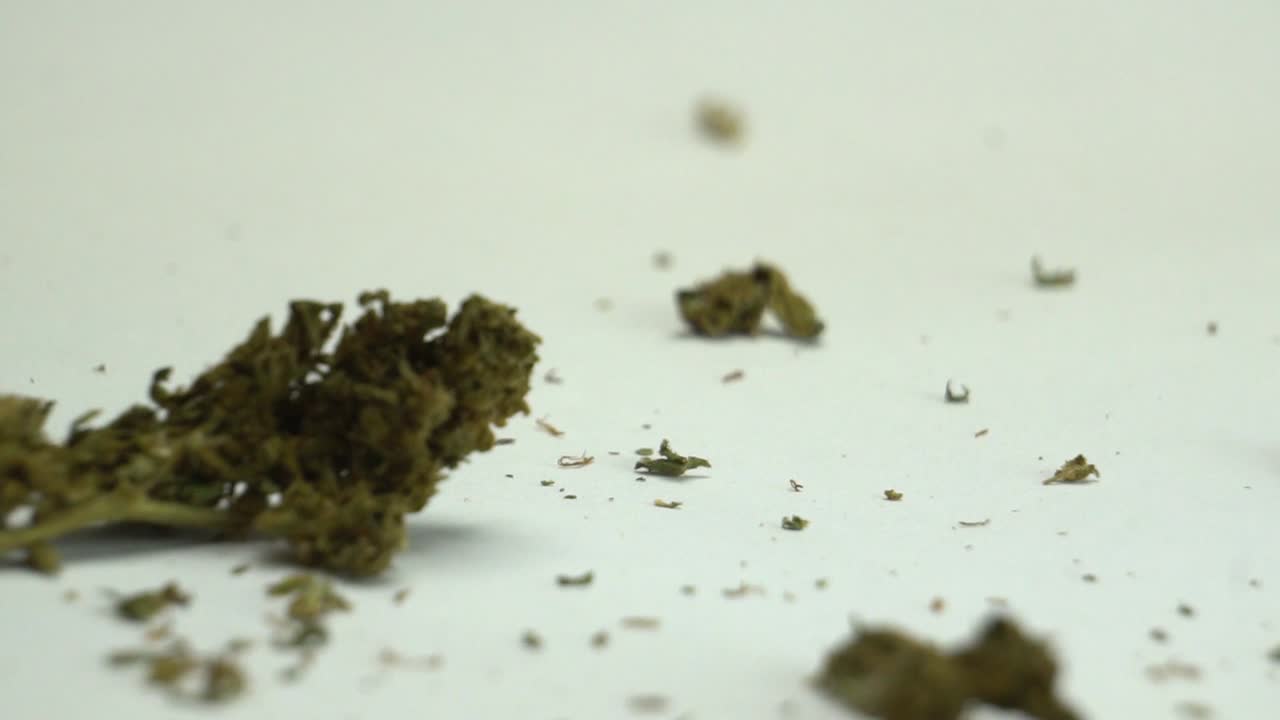 falling weed in slow motion 2