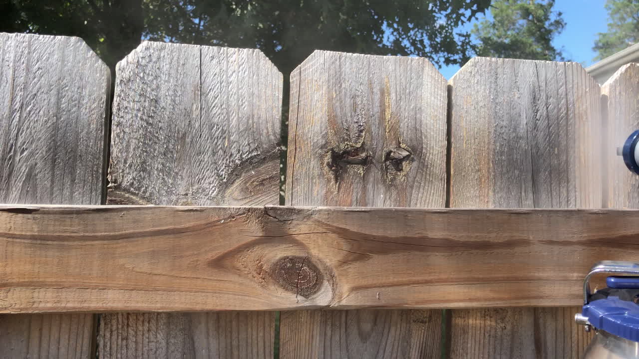 Using a paint sprayer to water seal a fence