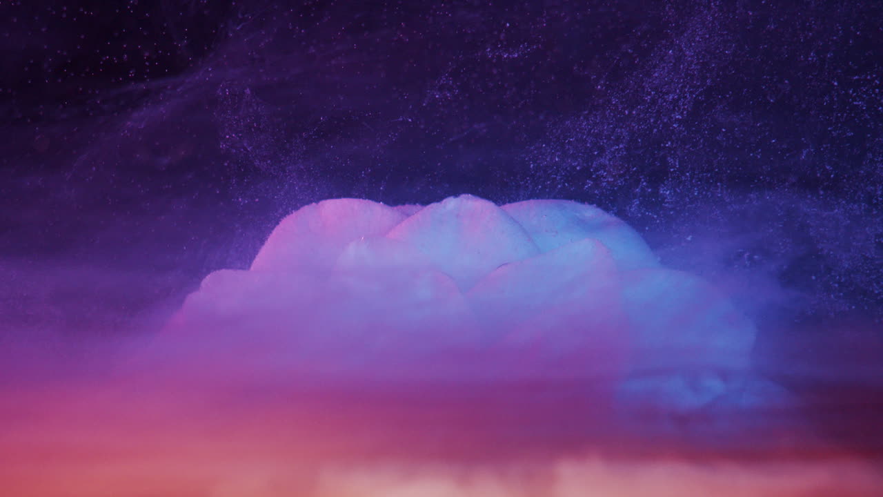 White flower macro blood red ink falls in slow motion abstract background