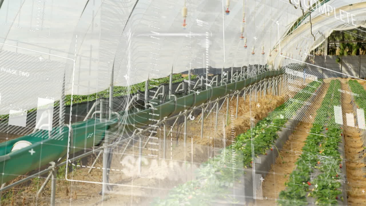 Digital data overlay in greenhouse showing advancements in agricultural technology