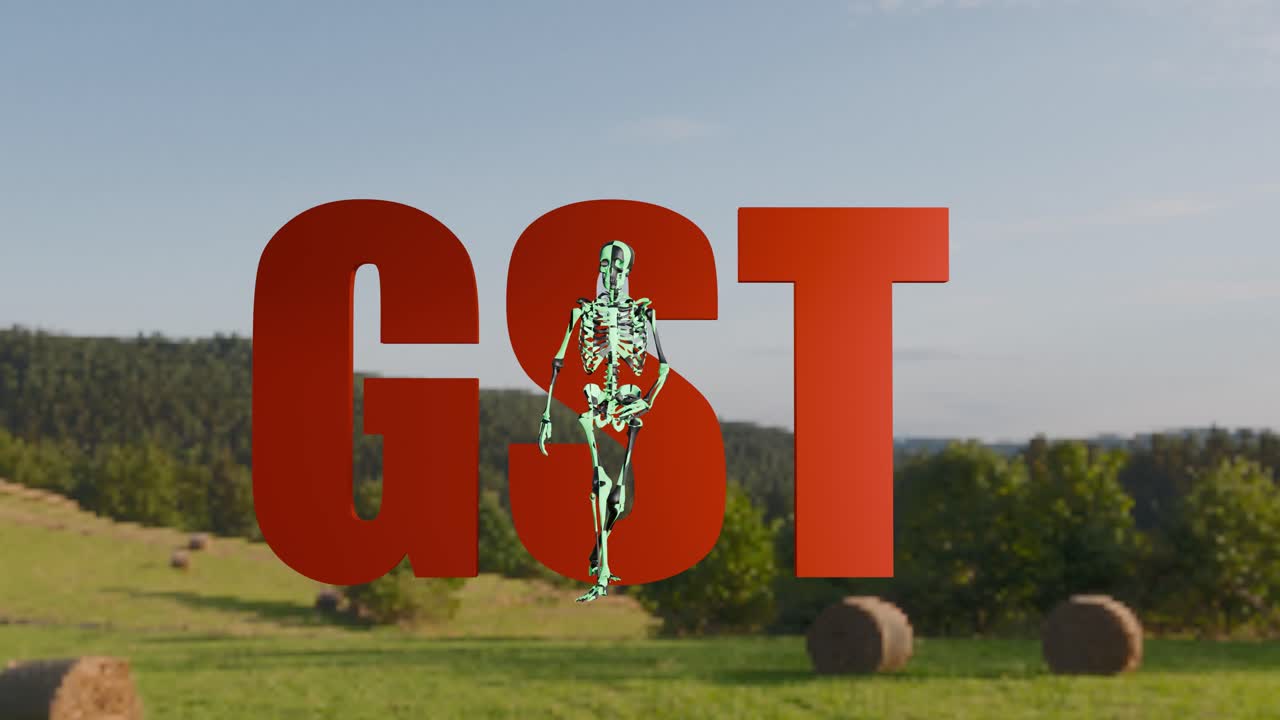 skeleton GST soul floor spin grass land