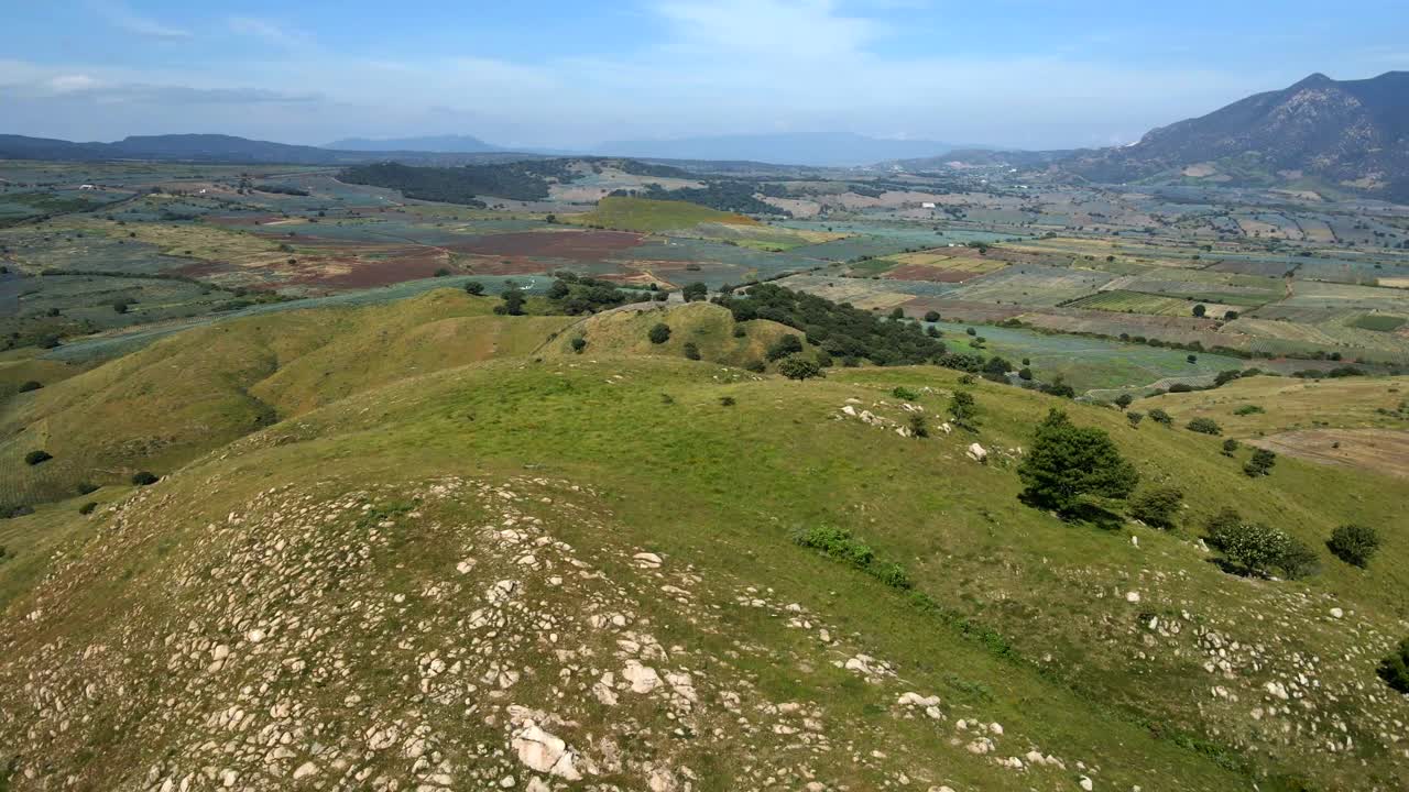 Veduta aerea di campi originali di Agave Blu, tranquillo paesaggio di Tequila, Messico
