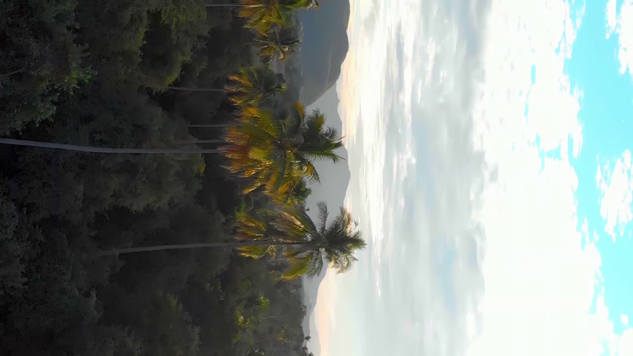 Campi agricoli e palme tropicali contro un cielo nuvoloso con montagna all'orizzonte, vista aerea verticale.