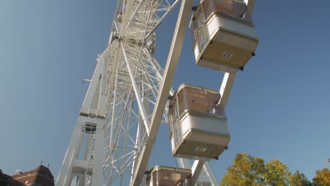 park with ferris wheel
