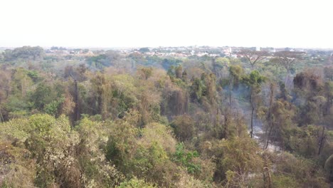 Vegetación-Quemada-Cerca-De-La-Ciudad-De-Campinas,-Brasil