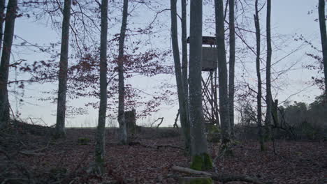 Breite-Einstellung-Eines-Jägerstandes,-Der-In-Der-Nähe-Eines-Waldes-Steht-Und-Eine-Wiese-überblickt