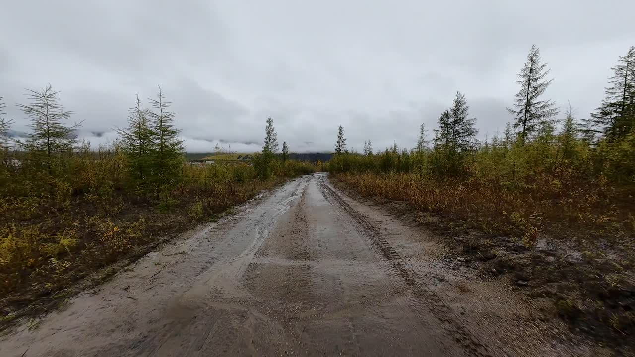 야쿠티아의 놀라운 아름다움을 목격하라, 조용한 길 위를 드론이 날아가며, 활기찬 가을 잎자루와 광활하고 원시적인 자연으로 둘러싸여 있다.