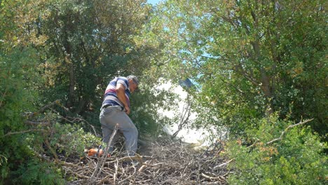 hombre cortando madera con un jardín de motosierra