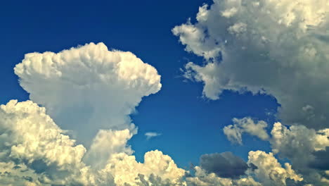 low angle timelapse shot of cumulus clouds on blue clear sky