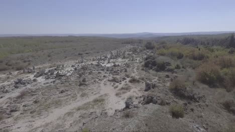 Aerial-of-Pobiti-Kamani-also-known-as-The-Stone-Desert-is-a-desertlike-rock-phenomenon-located-on-the-north-west-Varna-Province-border-in-Bulgaria-1