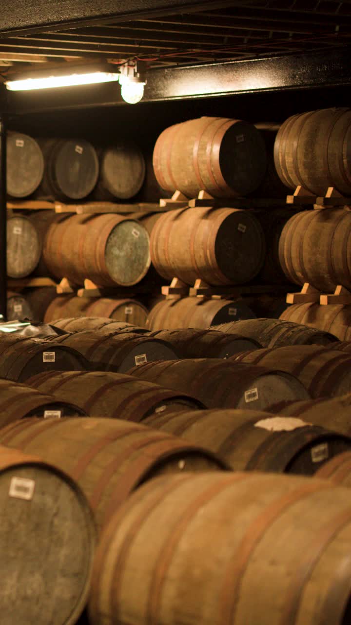 File di botti di legno che invecchiano in un magazzino di distilleria scarsamente illuminato, con un lento movimento laterale della telecamera.