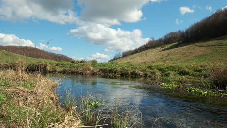 Statische-Aufnahme-Eines-Sauberen-Und-Trinkbaren-Gebirgsbachs-Mit-Wasserpflanzen