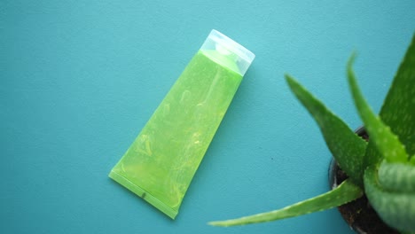 aloe vera gel tube with aloe plant